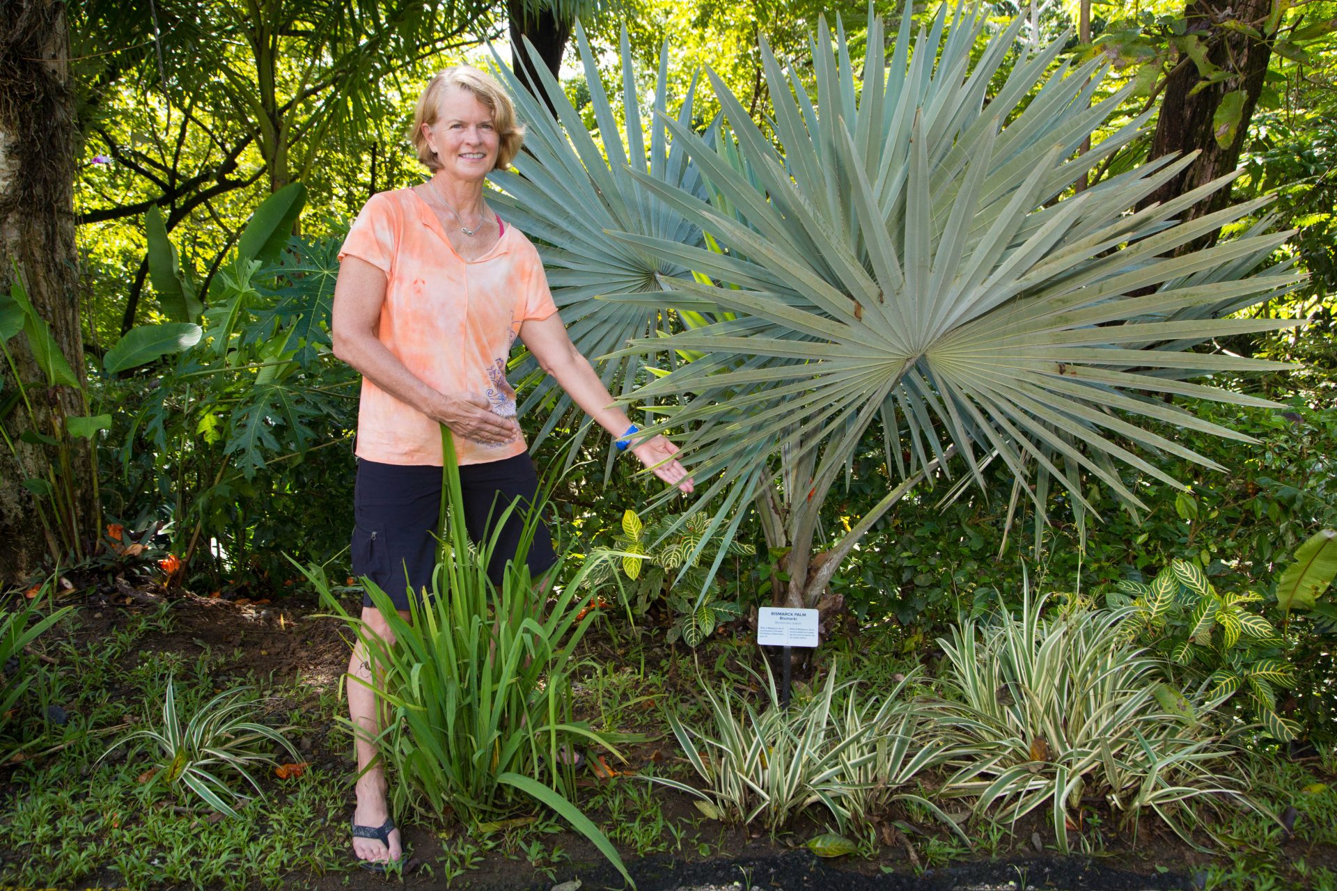 One of Leah's favorite palms