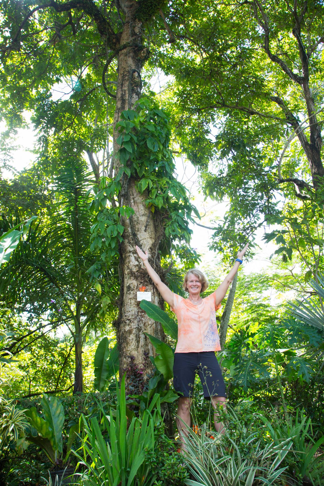 Ask your concierge and enjoy the nature trail at your leisure