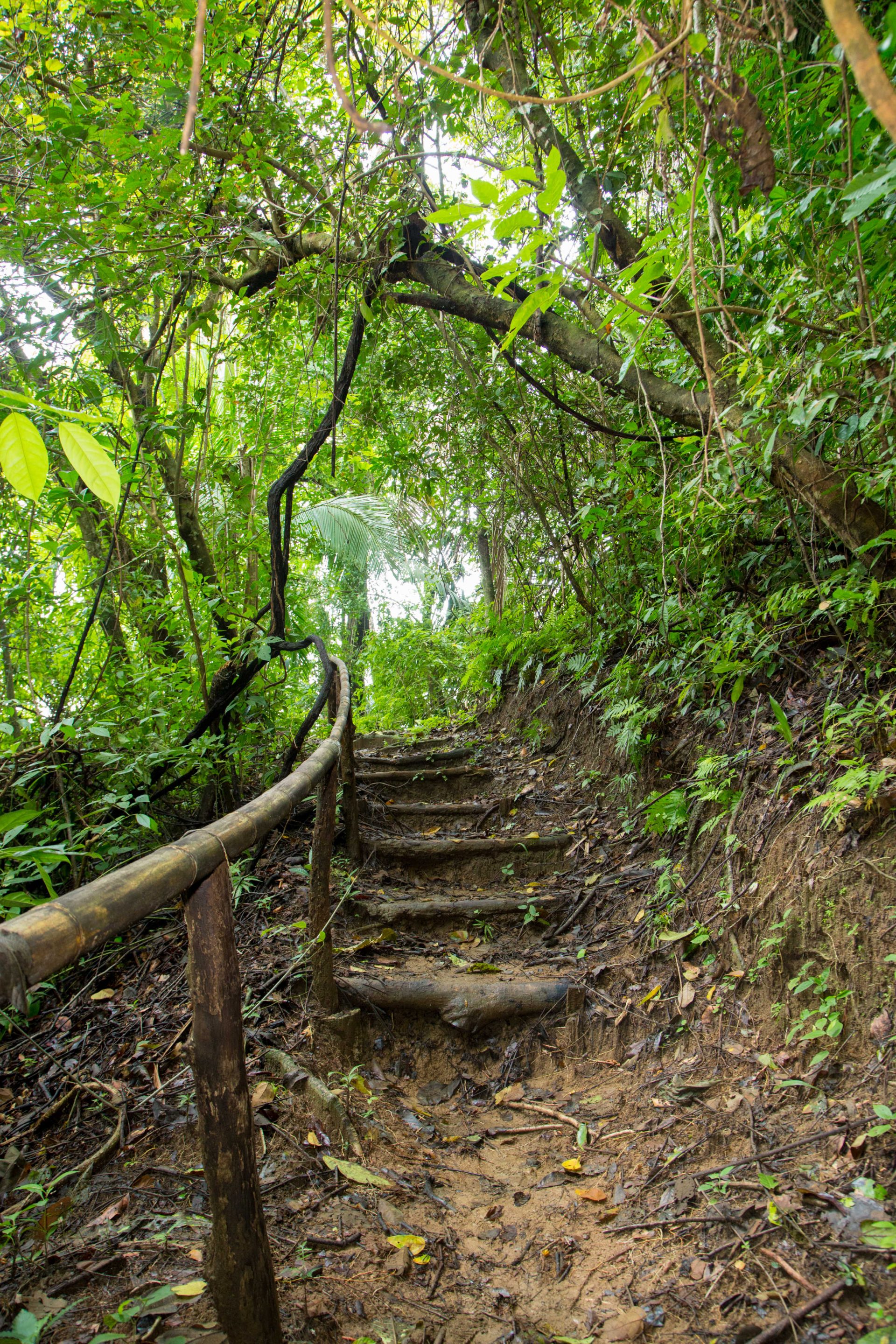 Climbing to the next viewpoint