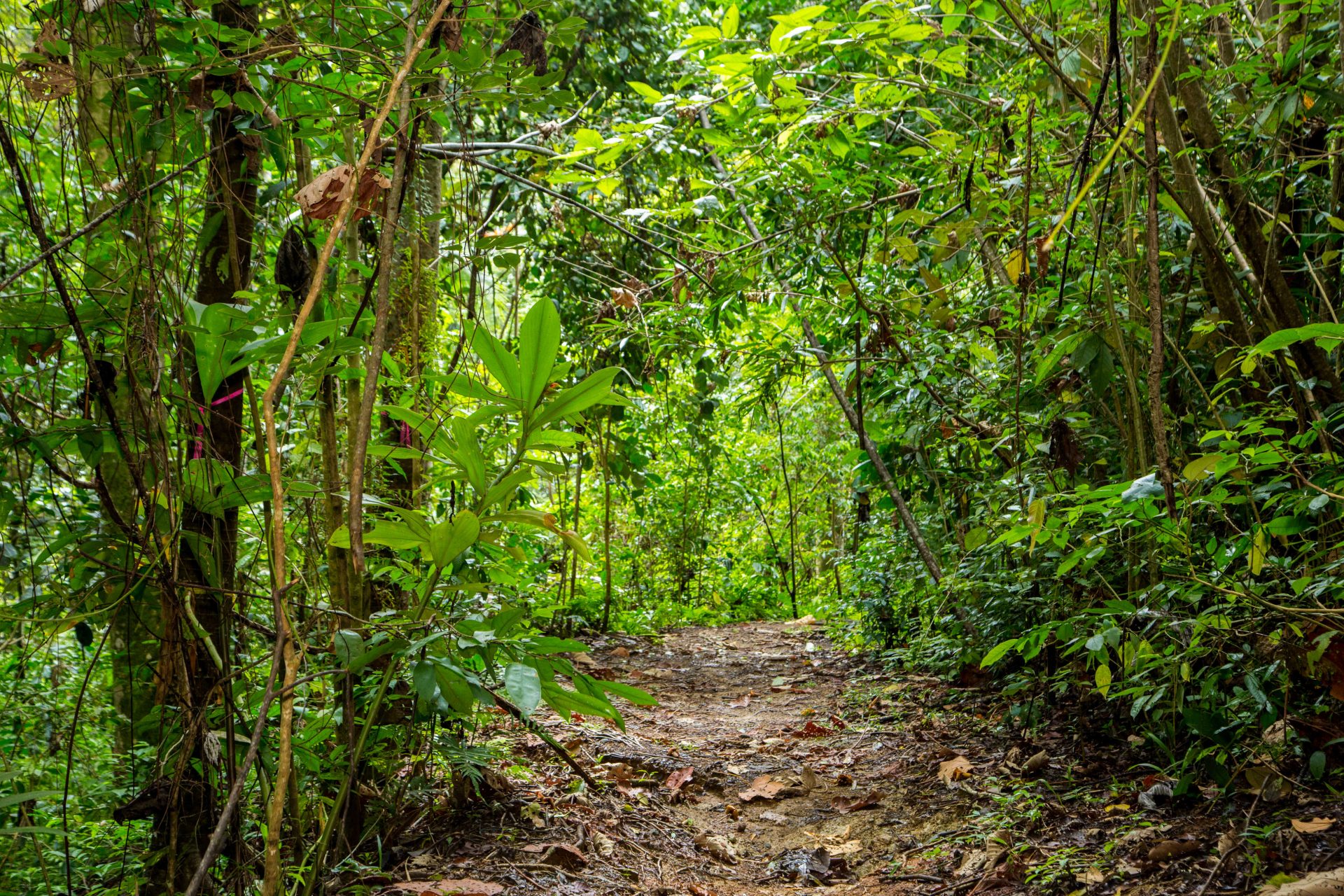 Many of the trails are flat or have little incline