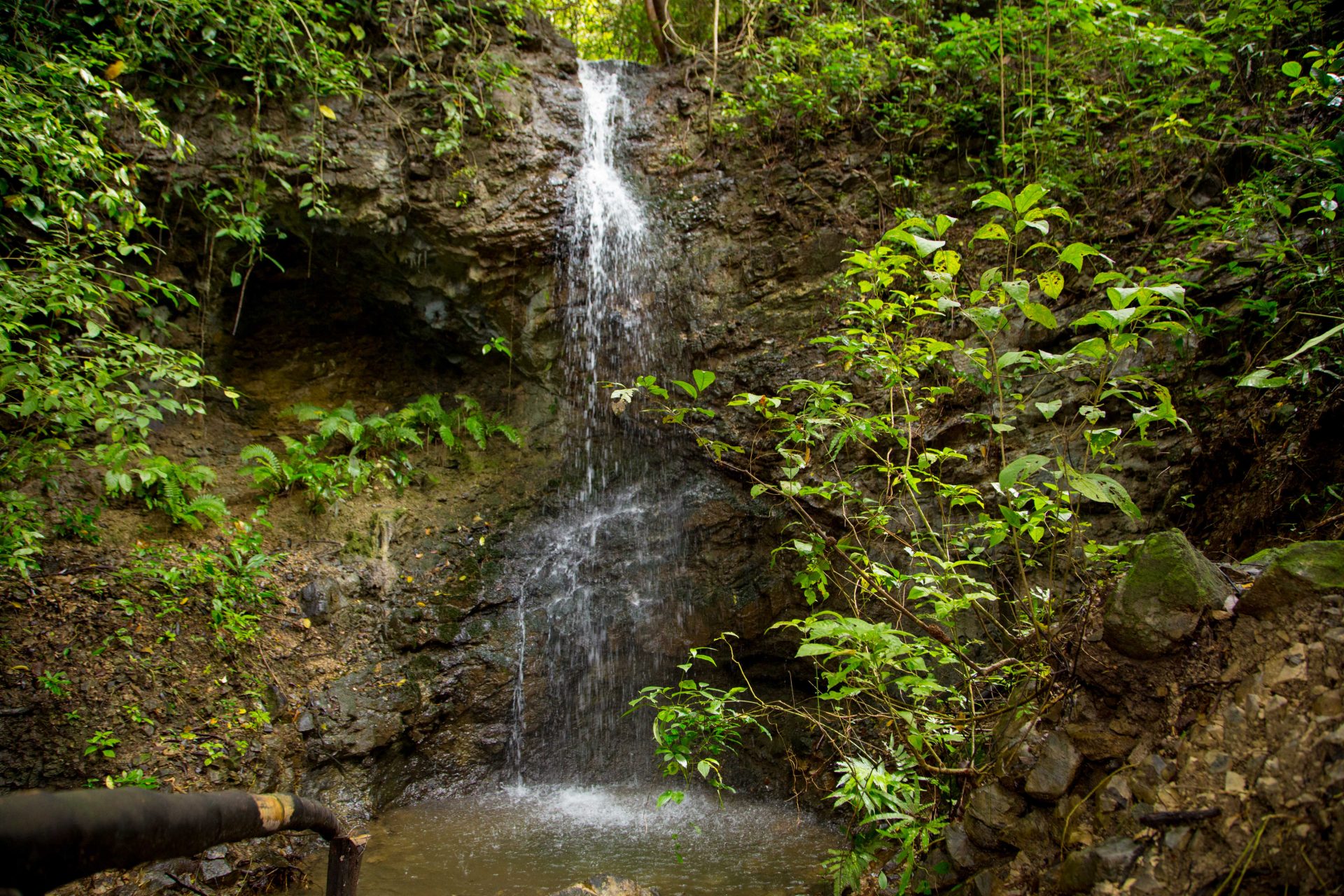 Nature Walk and Hiking Trails vacation in Manuel Antonio, Costa Rica