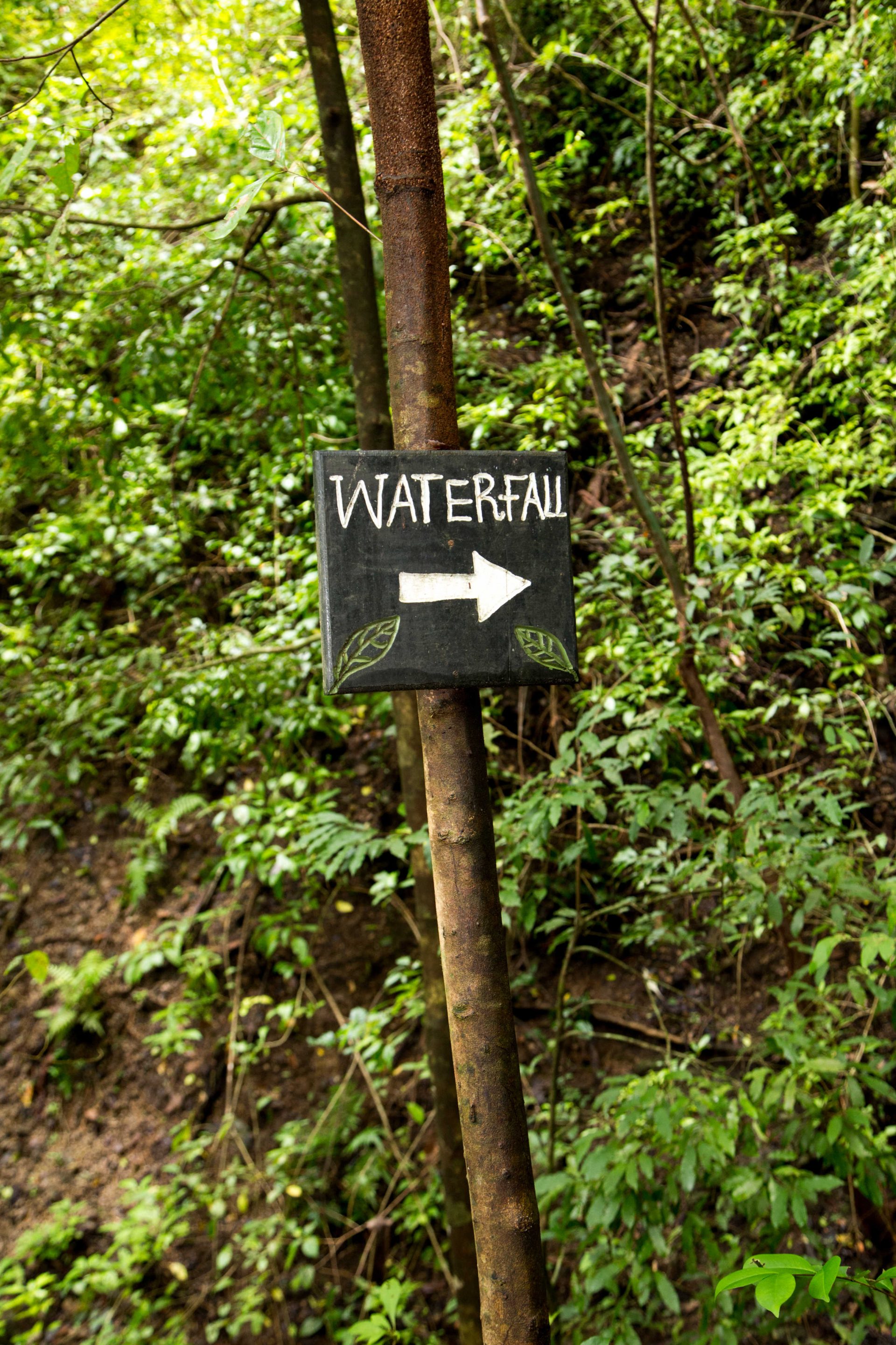 Nature Walk and Hiking Trails vacation in Manuel Antonio, Costa Rica