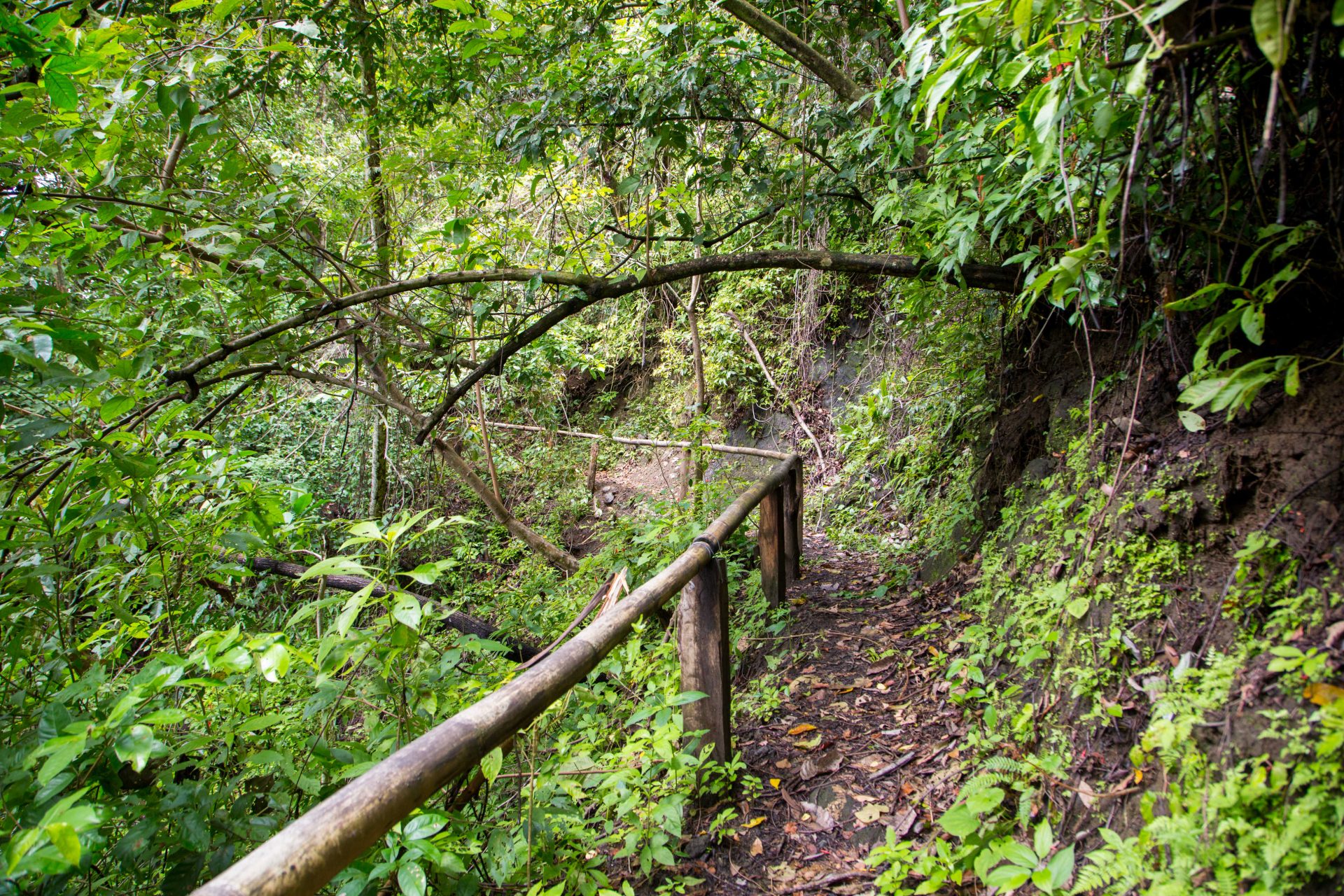 Nature Walk and Hiking Trails vacation in Manuel Antonio, Costa Rica
