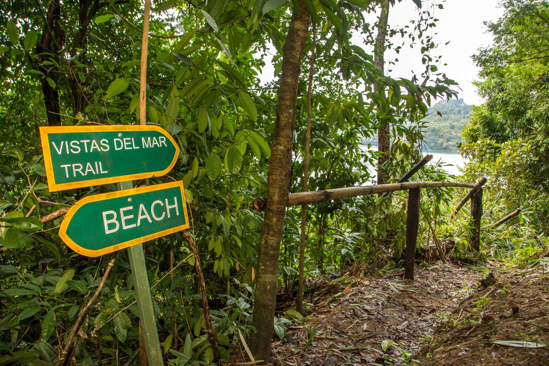 To the beach or further up the trail?