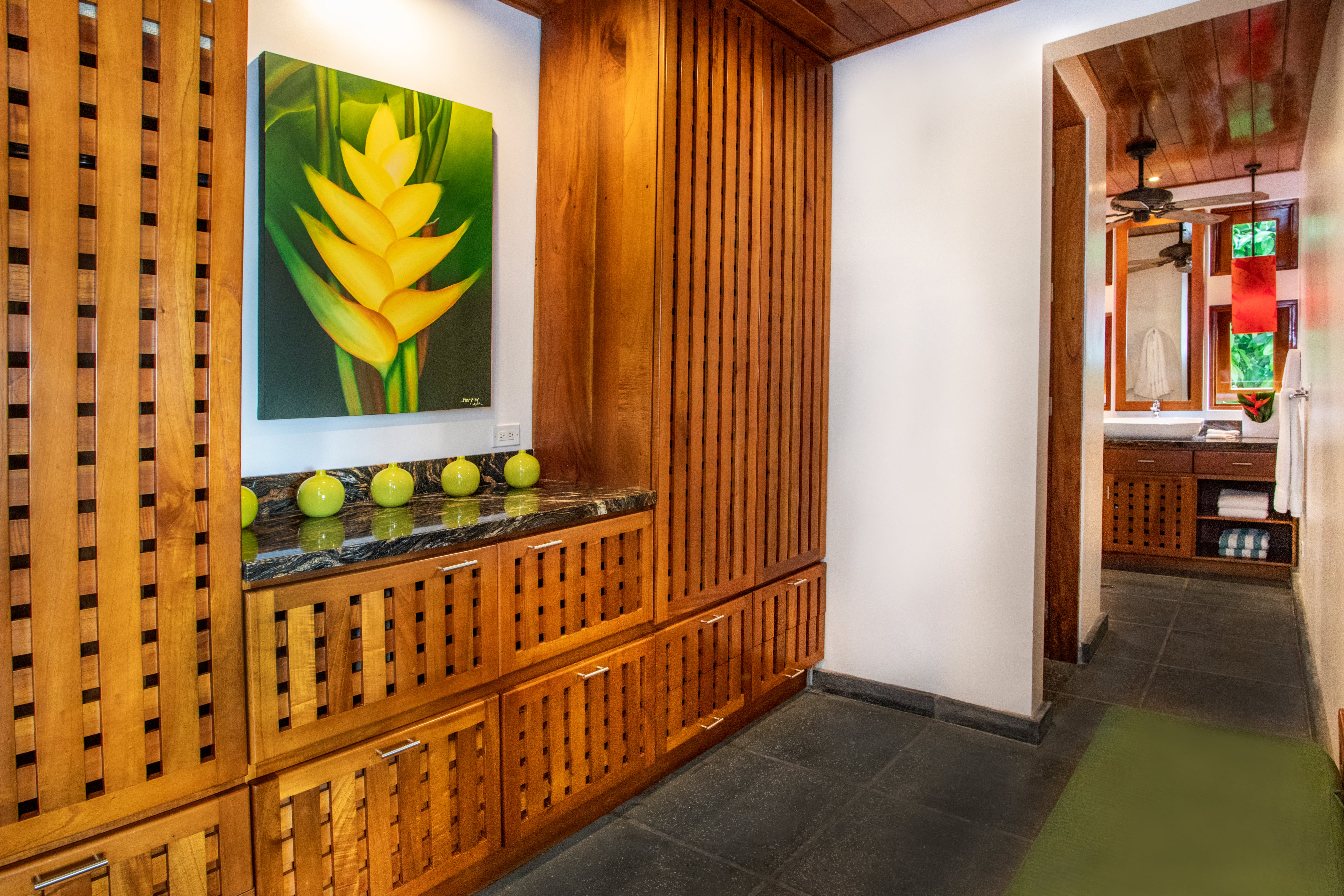 Dressing area, closets and guest bath