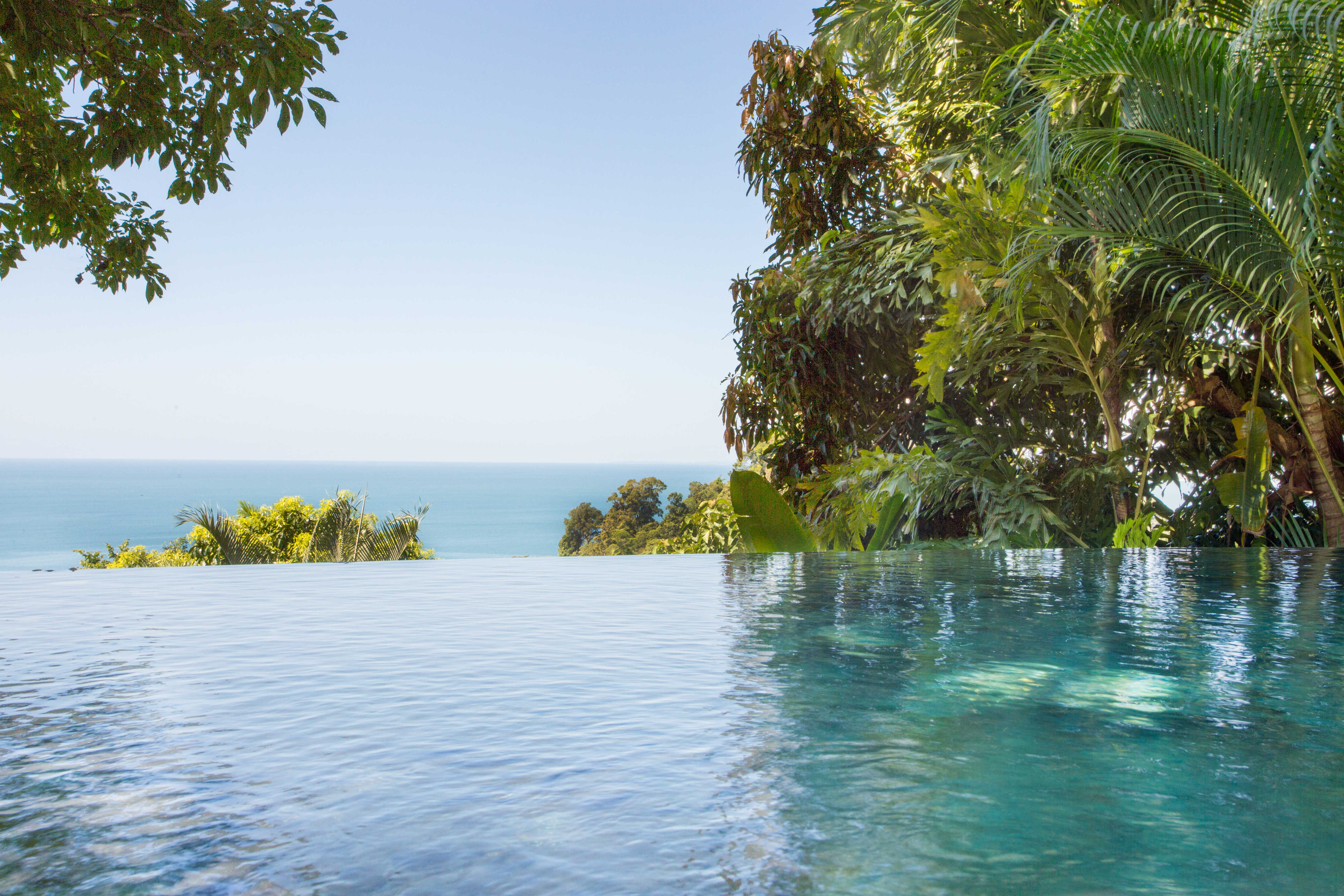Dramatic infinity edge pool with ocean views