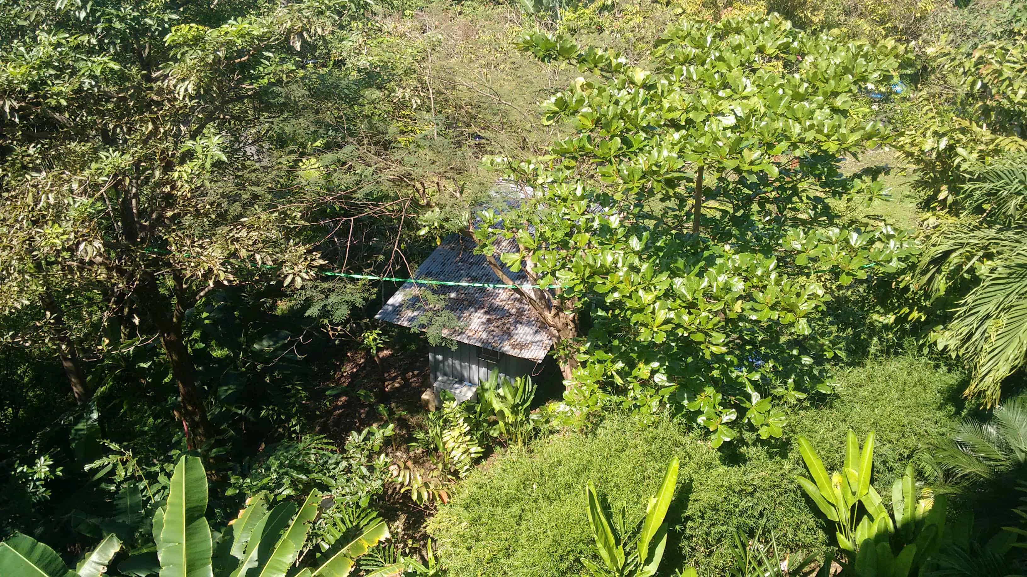 Exclusive! Catch a glimpse of The Sloth Institute\'s lab facilities from the balcony (and maybe a little sloth activity!)