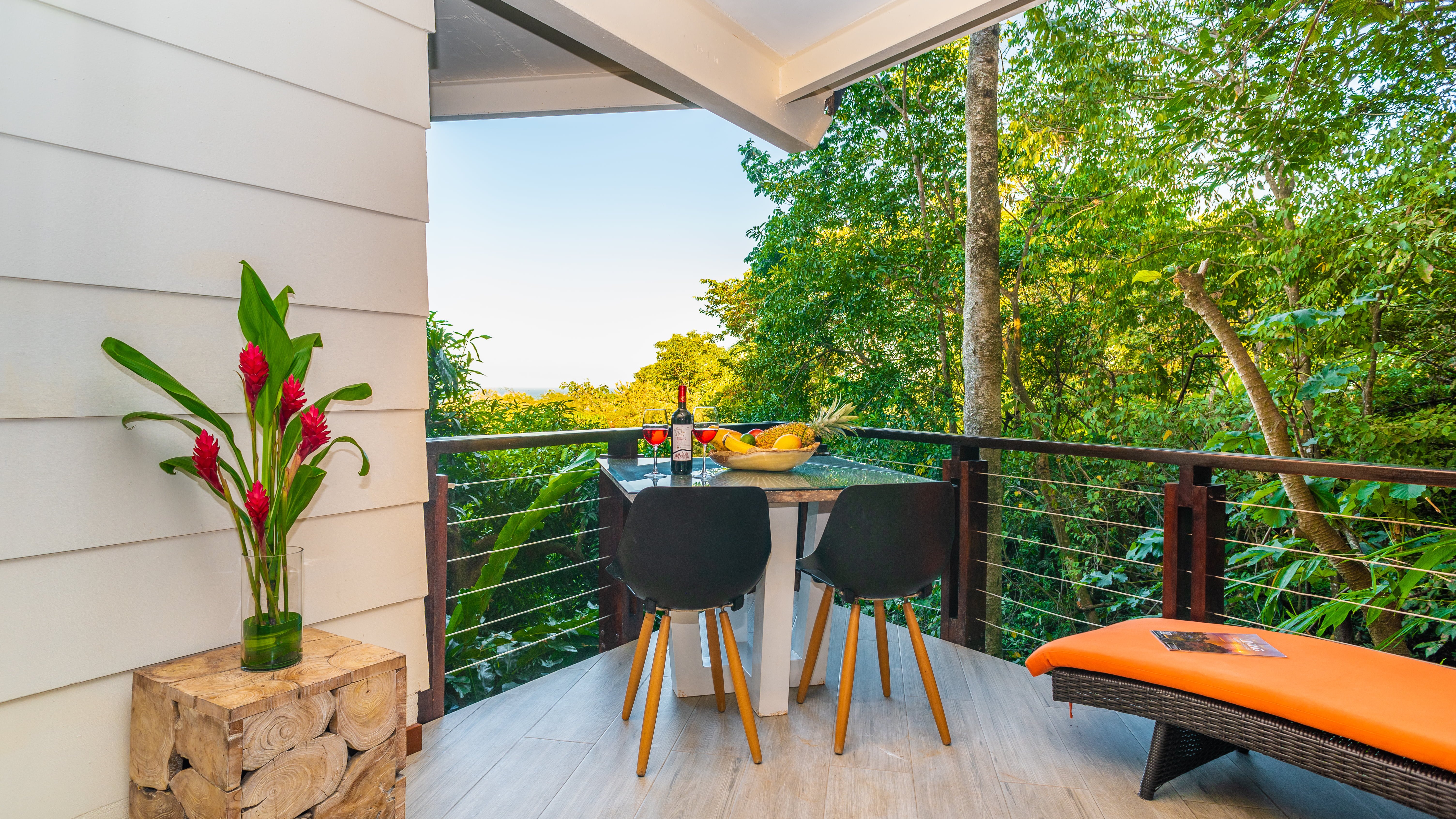 Terrace with outdoor dining and lounging