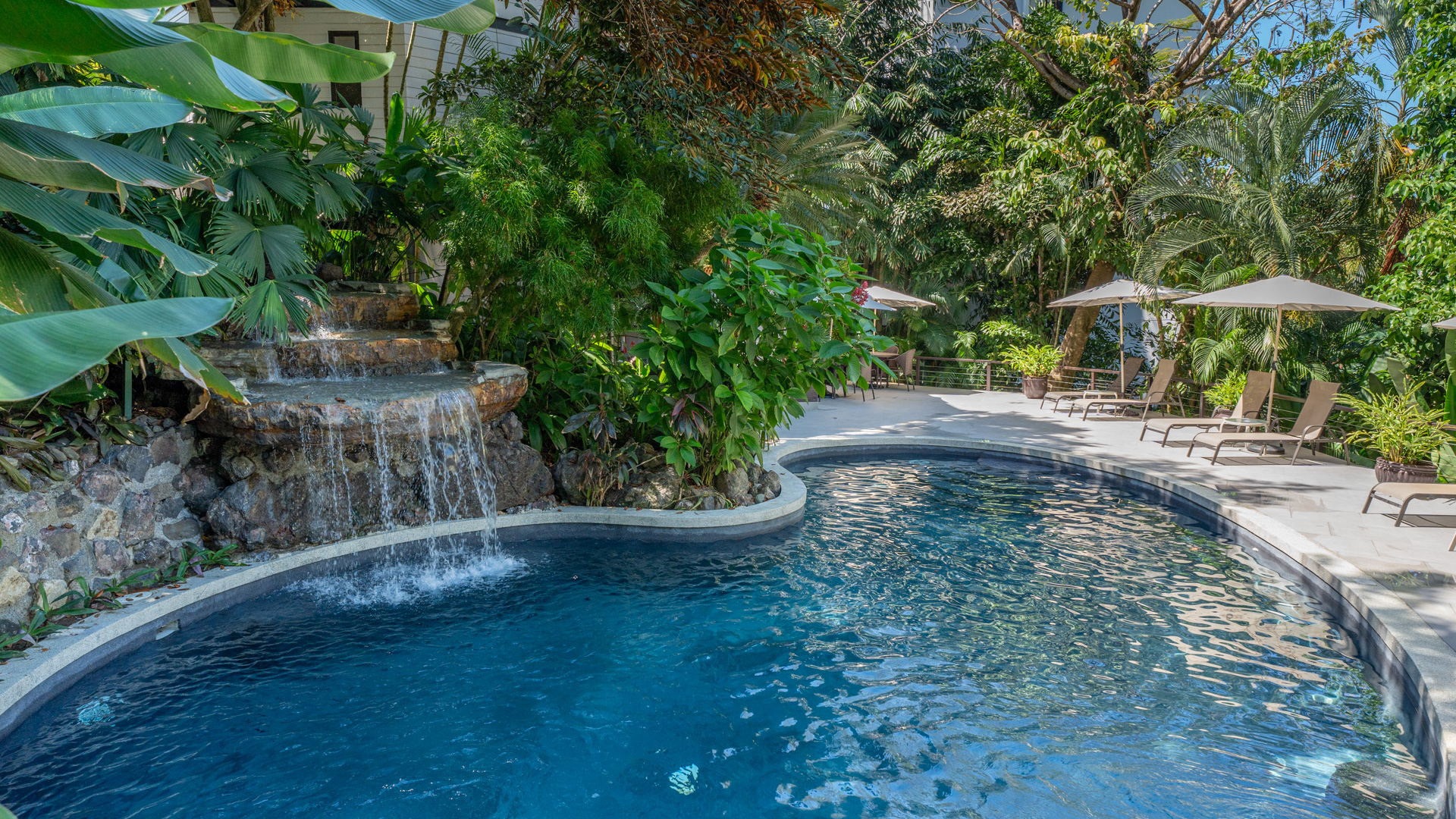 Jungle Pool waterfall