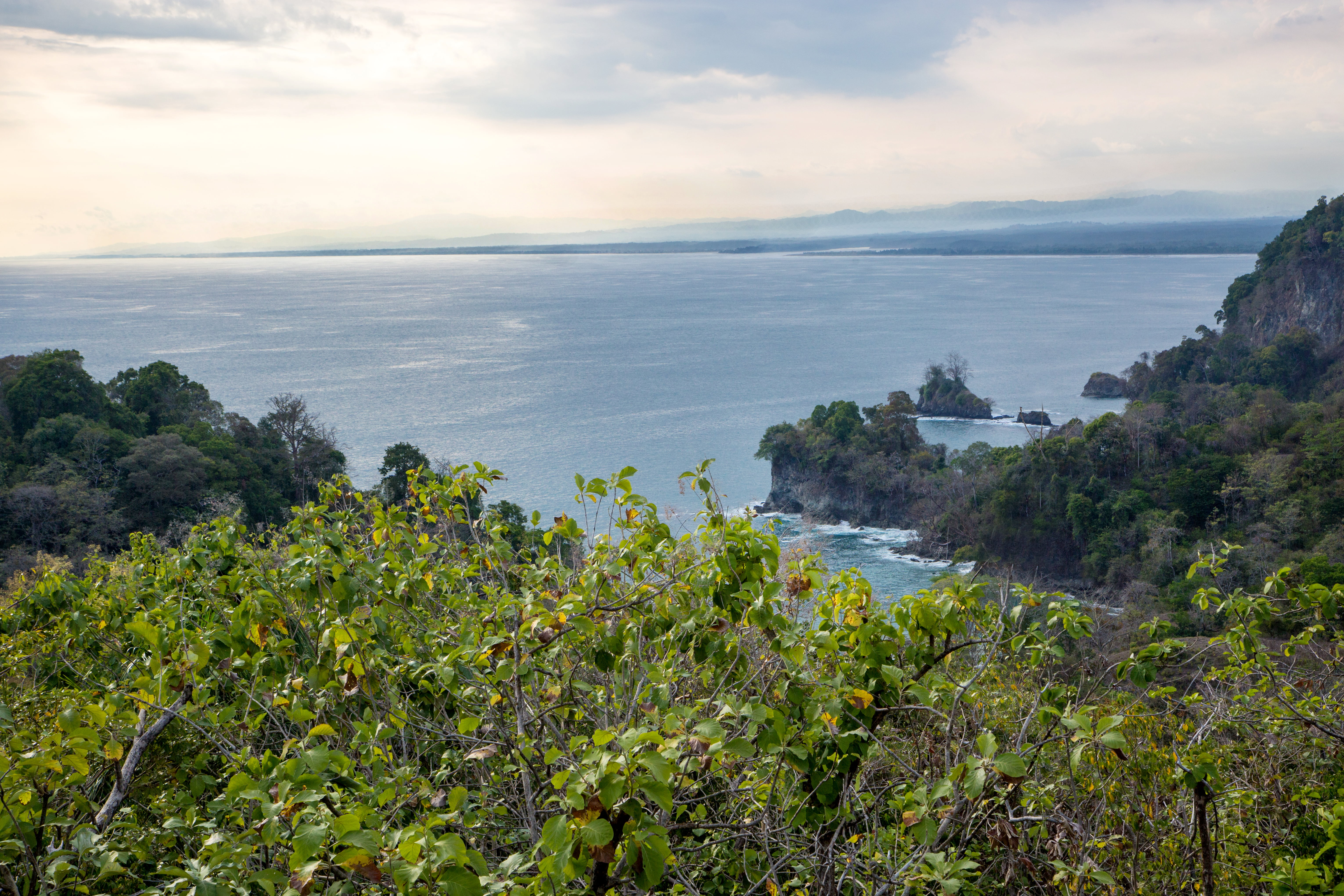 A view of the north coastline from the dining room