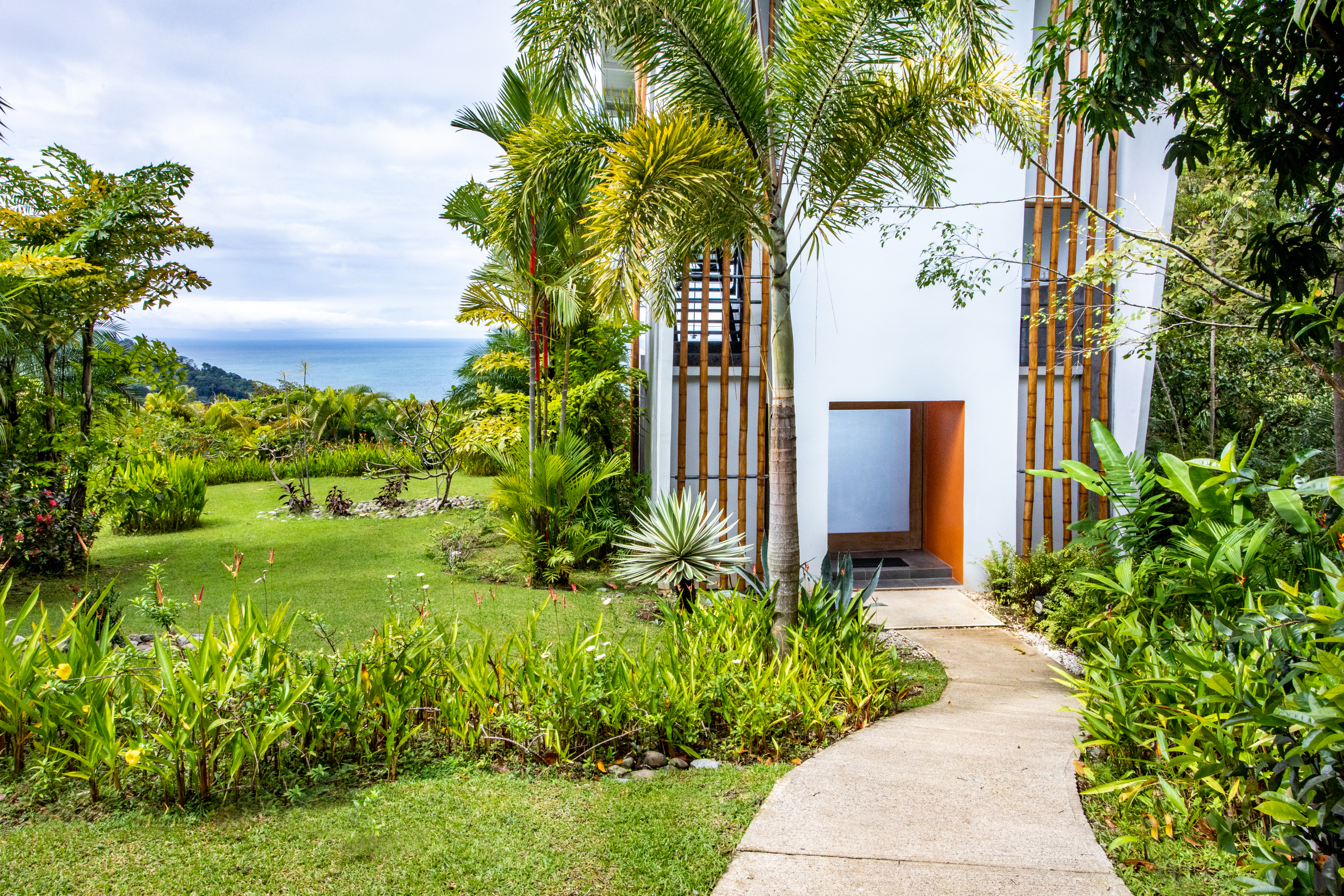 Mature tropical landscaping with ocean view