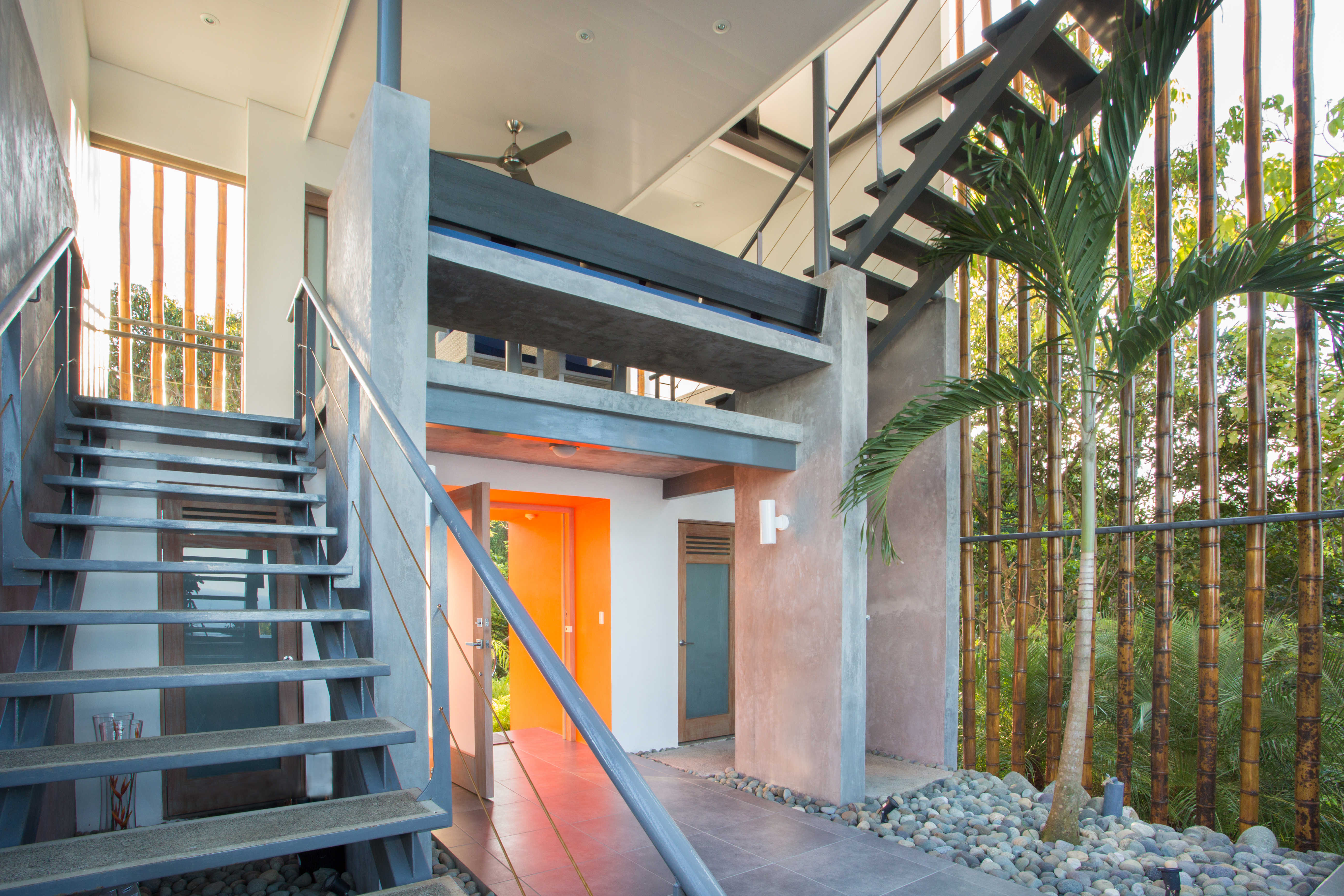 A palm tree in your living room